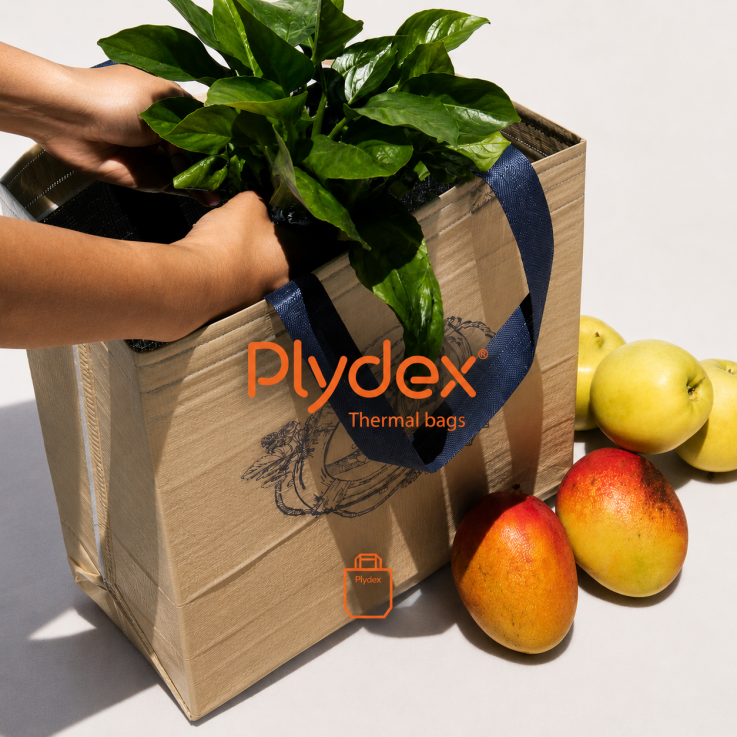 Hieleras Plydex