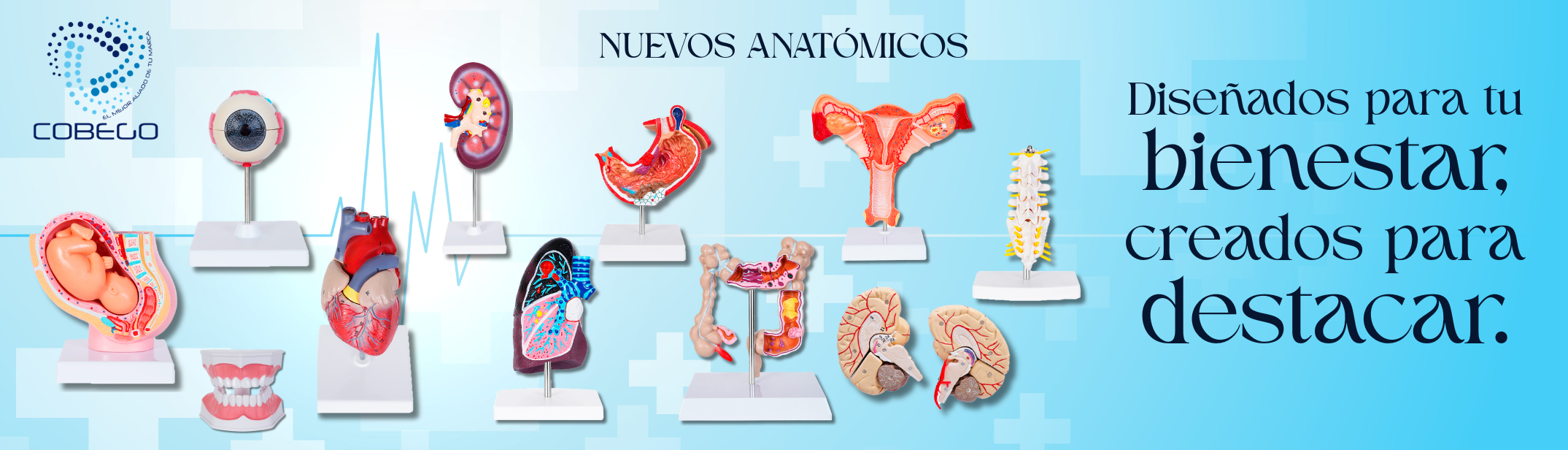 Anatomicos